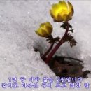 화투 속 그림들의 진짜 정체외1건 [유광종위원장님의 카톡에서] 이미지