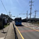 바다북 | 제주도 신촌리 북케이션 바다가 보이는 독립서점 북카페 이용 후기
