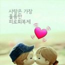 금이태양광발전소 이미지