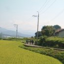 수철농장 이미지