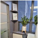 문제조사무소 이미지