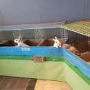 다솜생태체험관 이미지