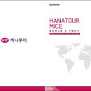 하나마이스투어