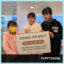 184 | 유성강아지분양 상담 흐름과 건강 관리 체크리스트의 신뢰성