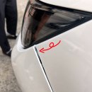 쌍용자동차순천정비사업소 | 【2025 스마트팜 청년창업 8기 보육센터】: 전남 고흥 #15