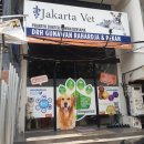 우리집동물병원 | 인도네시아 자카르타 동물병원 Jakarta Vet Kelapa Gading 지점 방문 후기 (feat. 주7일 운영, 야간운영)