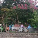 강경오농장 이미지