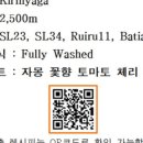 로스팅랩
