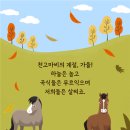 (다살이) 47. 천고마비(天高馬肥)의 생물학적 근거 이미지