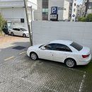 신기루 | 금아야 또간집 | 동네주민 단골가게 연희동 데이트맛집 신기루빠 후기 (+ 주차정보 )