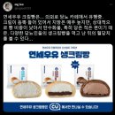 연세우유 크림빵은... 의외로 당뇨 카페에서 유행중. 이미지