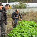 안산이농장 이미지