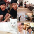 카이스트영재공부방 | [유초등 수학 로드맵]영재고 보낸 엄마의 “0세부터 수학 절친육아” 전체 공개