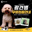 닥터각 동물병원 이미지