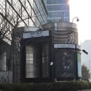 DOT미술관 | 서울 무료 전시 세화미술관 쿠사마 야요이 빨간 물방울의 세계