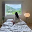 수안뷰 네이버블로그