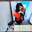 멍블리하우스 이미지