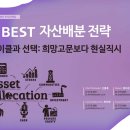 티엔씨랜드