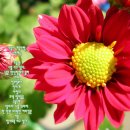 컴퓨터 기본 이미지