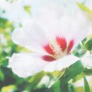 열매푸드 이미지