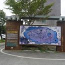 나주홍어 이미지