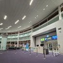 헬로치즈어학원 | 나홀로 필리핀 세부 어학연수 갔다온 일기... (IMS 어학원)