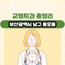 이조은치과의원 | 부산광역시 남구 용호동 교정치과 총정리