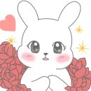 서촌회무끼 네이버블로그
