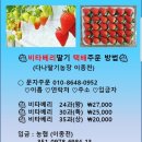 다나딸기농장2