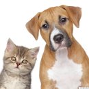 아너스약국 이미지