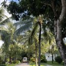 해마 | 푸꾸옥 가족여행 ep.2 | 빈원더스 아쿠아리움 인어쇼 명당, 해마레스토랑, 푸꾸옥 스파 내돈내산 비추 후기