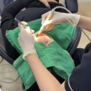 바른선택치과의원 이미지