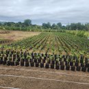 SH골프랜드 이미지