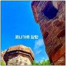[베트남 여행 추천] 나트랑 판랑사막 지프투어 무료 드론촬영 ATV 체험 한국어가이드