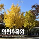 인천대공원 인천수목원 산책하기 좋은 가을 단풍명소
