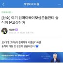 비혼에 대한 재명이네 마을 어른들의 생각 이미지