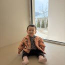 하몽하몽 키즈풀빌라 | 돌 아기랑 가볼만 한 곳 하몽하몽 키즈풀빌라 두 가족 방문 후기