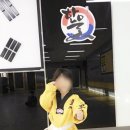 용인대한울태권도 이미지
