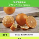 호범농장 네이버블로그