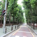 여의나루로2길 이미지