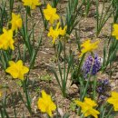 용비쉼터 이미지