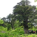 정선군 도사곡샘터 이미지