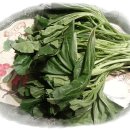 한진부부한의원 이미지