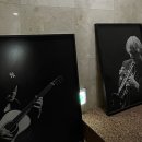 가평군 조종청소년문화의집 | 뉴비 자라지기의 가평 자라섬재즈페스티벌 OT 비하인드 스토리