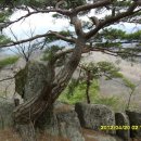 문막(인천) 이미지