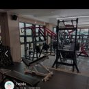 준피티샵 이미지