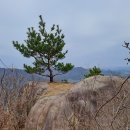 산은 늘 새롭고 낯설다! - 청도군 청도역 맞은편 능선따라 나발등산(238.6)에서 오례산성 거쳐 분능산(118.2)까지~ 이미지