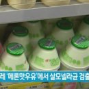 빙그레우유 - 양산시 | 빙그레우유