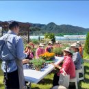 곡성군치매안심센터 이미지