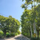 대부해솔길 1-1코스(순환코스) 이미지